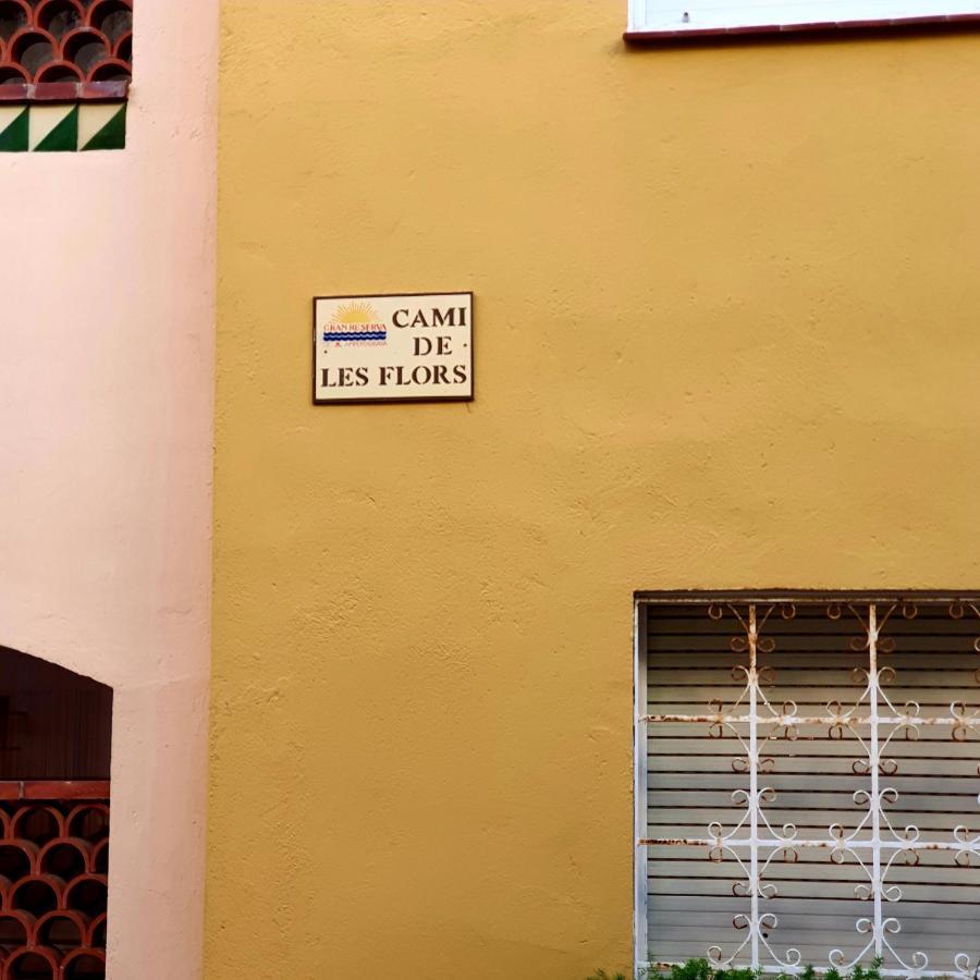 Leroy Apartment 艾姆布里亚布拉瓦 外观 照片